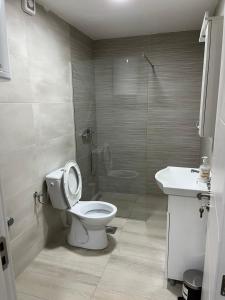 a bathroom with a toilet and a shower and a sink at Mimura 3 in Belgrade