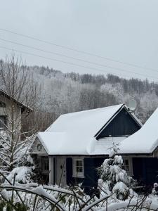 Szyszkowy Zakątek v zimě