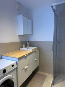 een badkamer met wastafel en wasmachine bij Konstanz Lakeside Apartment in Reichenau