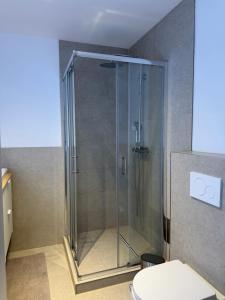 e bagno con servizi igienici e cabina doccia. di Konstanz Lakeside Apartment a Reichenau