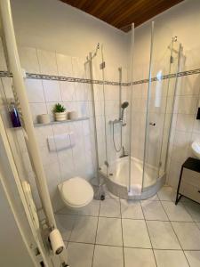 ein weißes Badezimmer mit Dusche und Toilette in der Unterkunft Studio Apartment nahe Lüneburg in Bienenbüttel