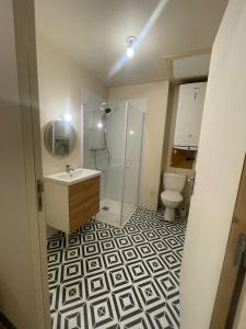 een badkamer met een wastafel en een toilet bij Le Figuier - Studio de Charme in Lavaur +11 foto's