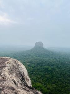 een uitzicht vanaf de top van een berg bij Elephant point tree house in Sigiriya +9 foto's