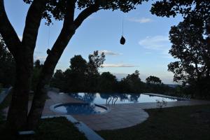 vistas a un estanque en un parque con árboles en Banasura Cradle Premium Pool Resort, en Wayanad