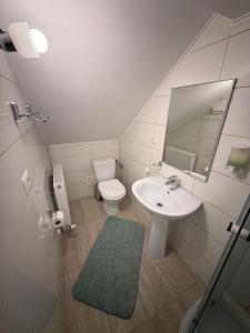 Koupelna v ubytování Cabana Parang + 22 fotografií