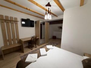 TV a/nebo společenská místnost v ubytování Cabana Parang