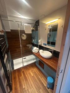 une salle de bain avec lavabo et douche dans l'établissement Hôtel des Rochers, à Perros-Guirec