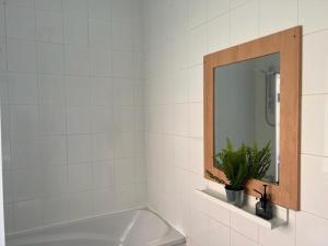 een badkamer met een bad, een spiegel en een plant bij Tyneside Two Bedroom Apart in Gateshead