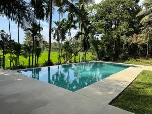 a swimming pool in a yard with palm trees at Cinnamonhouse Villa in Poregedara +9 photos
