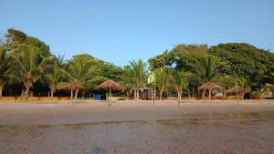 een strand met een aantal rieten parasols en palmbomen bij Chalé Mirante do Lago Cotijuba in Belém