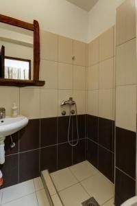 een badkamer met een douche en een wastafel bij Srna Etno Selo - Hotel i Restoran in Inovo