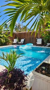a swimming pool with chairs and a palm tree at Mahalo Exclusive Boutique in Maragogi