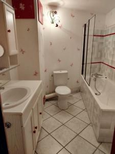 a bathroom with a toilet and a sink and a shower at Les Balcons de Valezan in La Plagne Tarentaise +10 photos