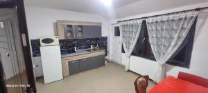 a kitchen with a sink and a window at Remetea 292 in Remetea