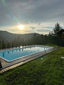 a large swimming pool in the middle of a grass field at Шале 5 Стефанія in Mykulychyn