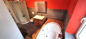 Koupelna v ubytování Studio cosy a 5mn du Kirchberg + 9 fotografií