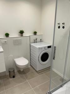 a bathroom with a toilet and a washing machine at 4-Bett-Appartement am Golfplatz in Grassau