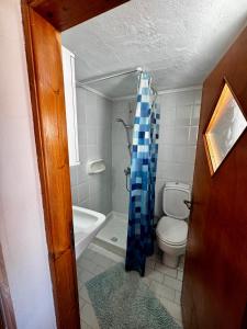 ein Badezimmer mit Toilette und Duschvorhang in der Unterkunft Ireon Seaside Breeze studio in Ireo