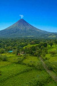 Naturlandskabet i nærheden af lodgen
