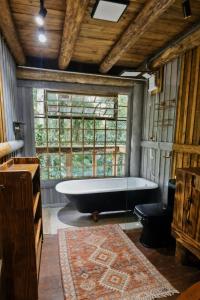 Billede fra billedgalleriet på Casa da Árvore - Jussara Cultural i Joinville + 20 billeder