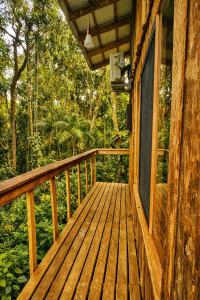 Billede fra billedgalleriet på Casa da Árvore - Jussara Cultural i Joinville