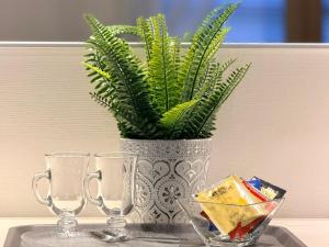 un vaso con una pianta sul tavolo di Guest House Salo-City a Salo Altre 11 foto
