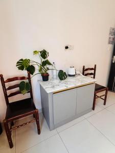 een keuken met 2 stoelen en een bar met planten bij Sliema Central with Balcony Airconditioned and Comfortable Self Check IN in Il-Gżira
