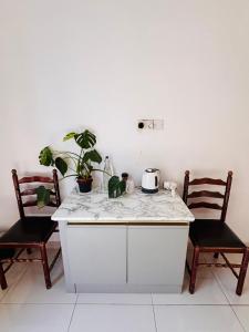 een keuken met 2 stoelen en een bar met planten bij Sliema Central with Balcony Airconditioned and Comfortable Self Check IN in Il-Gżira