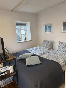 海耶斯Bed & Breakfast “Den Gamle Lade I Hejls”的卧室里有两张床和一台电视