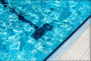 Swimmingpoolen hos eller tæt på Quality Inn Overland Park Kansas City