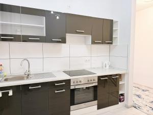 een keuken met zwarte kasten en een spoelbak bij Kölner Street Loft ,Neu Renoviert für bis zu 5 Personen mit Küche und Bad in Düsseldorf