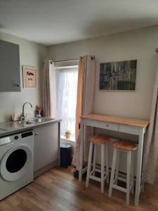 een keuken met een spoelbak en een wasmachine bij Studio with kitchen and bathroom in Cork