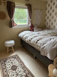 ein Schlafzimmer mit einem Bett, einem Fenster und einem Teppich in der Unterkunft Het Heideverblijf in Heerlen