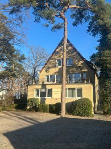 a house with a tree in front of it at Seepferdchen in Timmendorfer Strand