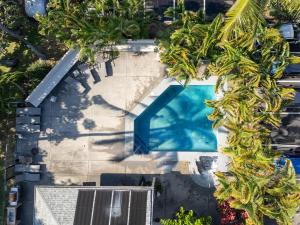 een bovenaanzicht van een zwembad met palmbomen bij Kailua Bay Resort#4-204 in Kailua-Kona