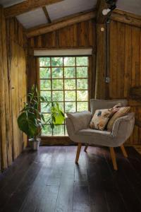 Foto dalla galleria di Casa da Árvore - Jussara Cultural a Joinville Altre 4 foto