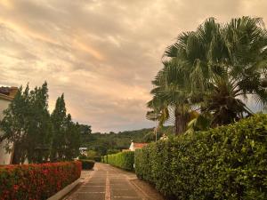 un palmier et une allée bordée de buissons et d'arbres dans l'établissement Casa Rio Bonito, à Melgar