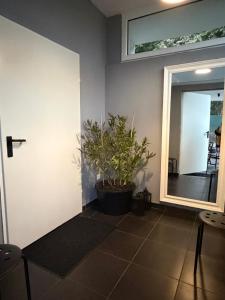 a room with a potted plant and a mirror at Apartament Pod Kukułką PARKING FREE in Kłodzko +1 photo