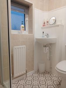 een badkamer met douche, wastafel en toilet bij Hill View Studio in Hawick