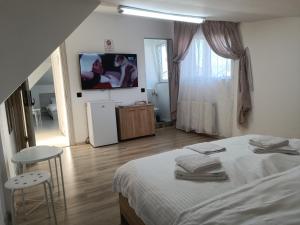 een slaapkamer met een bed en een tv aan de muur bij Max Night Dreams in Boekarest