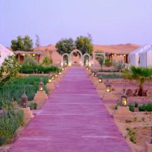 un lungo sentiero viola con luci in un giardino di Diamante Luxury Camp a Merzouga