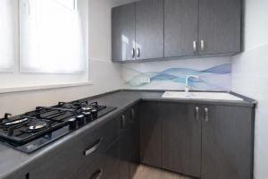 een keuken met een fornuis en een spoelbak bij Comfort 66 Large Family City Home in Miskolc