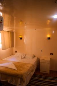 a bedroom with two beds in a room at Floating Hotel- Happy Nile Boat in Luxor