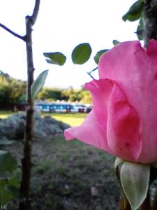Photo de la galerie de l'établissement Posada La ensenada, à Villa Yacanto
