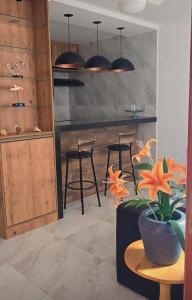 a kitchen with a counter with chairs and a vase with flowers at Oceano Residence in Búzios