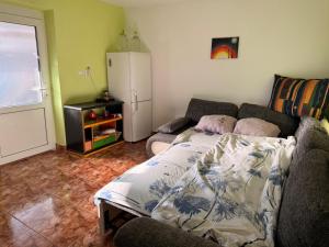 een woonkamer met een bank en een koelkast bij Popasul din Valea Mare in Caransebeş