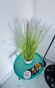 a green planter with a plant on a table at Brytelight Luxe in Rustenburg +10 photos
