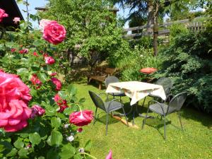 A garden outside Apartment Weissenegger