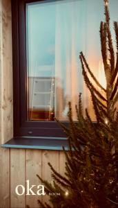 Billede fra billedgalleriet på Airport light Tallinn i Tallinn