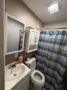 een badkamer met een wastafel, een toilet en een douche bij Cozy studio in Lehigh Acres +7 foto's
